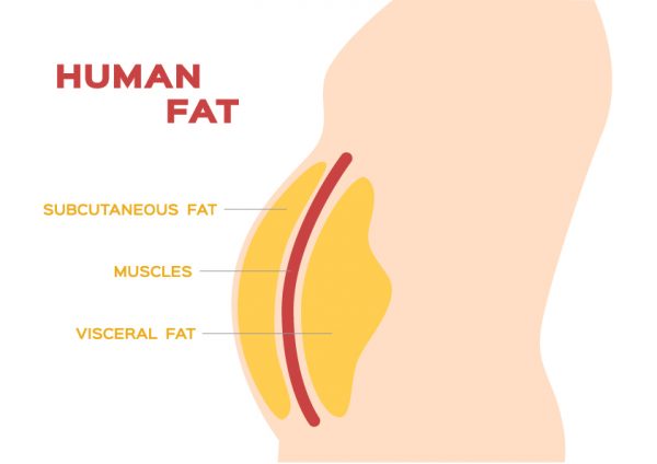 There Are Two Types of Body Fat — Here’s How to Deal With Both ...